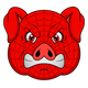 SpiderPigzs